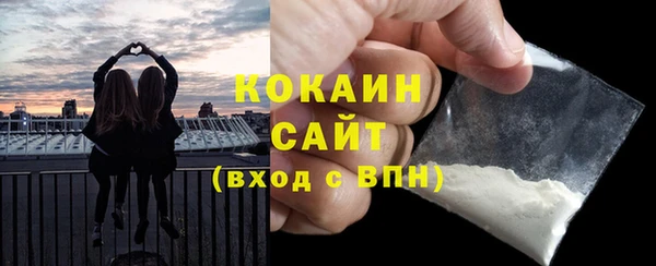 шишки Вяземский
