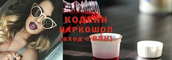 шишки Вяземский