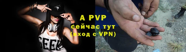 шишки Вяземский