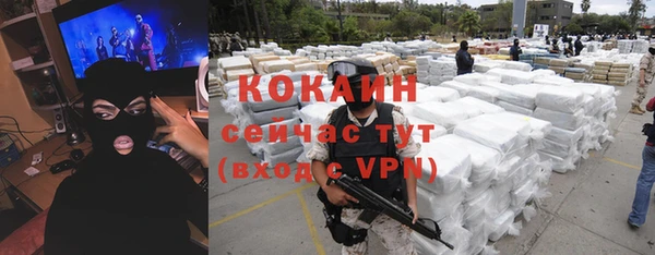 шишки Вяземский